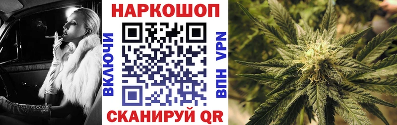 МАРИХУАНА Сальск