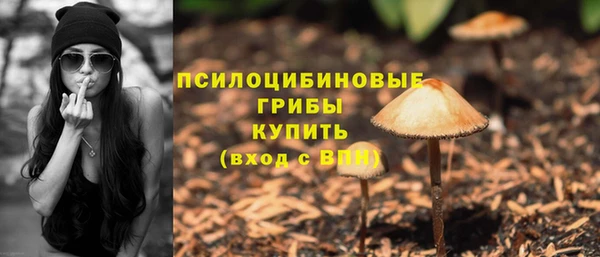 ALPHA PVP Баксан