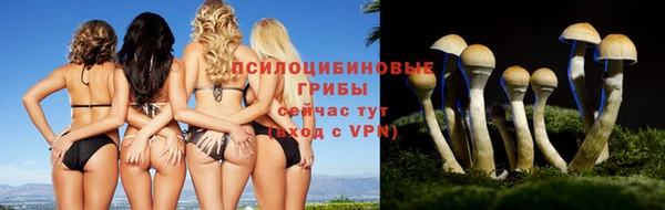 меф Балахна
