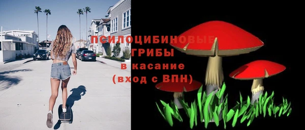 индика Арсеньев