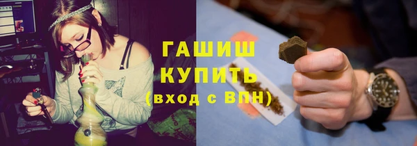 индика Арсеньев