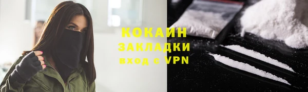 индика Арсеньев