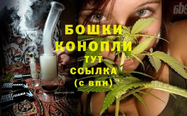 индика Арсеньев