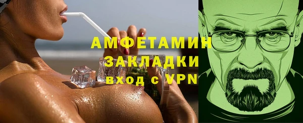 индика Арсеньев